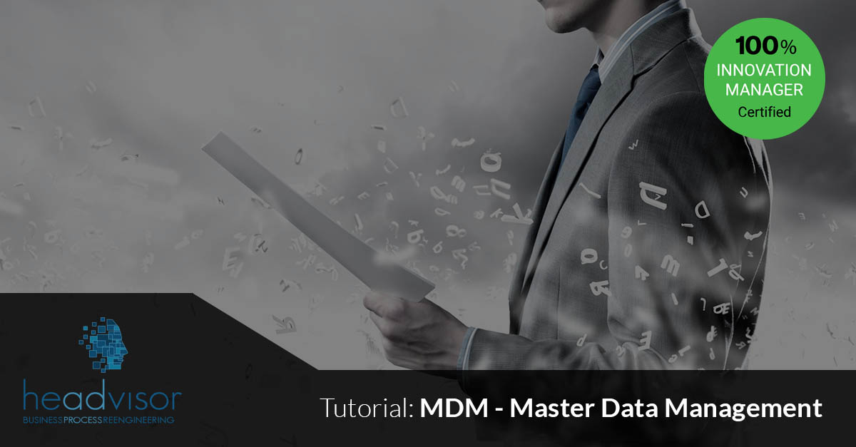 MDM Master Data Management la Transizione completa in 14 fasi
